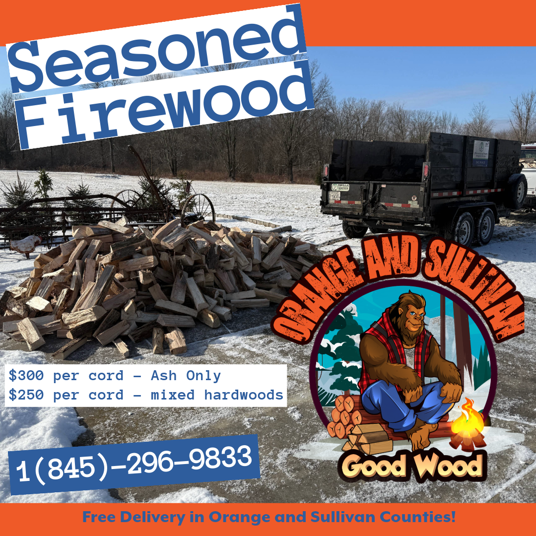 A tidy residential backyard scene in upstate New York featuring a compact, well-stacked firewood pile under a simple black metal rack, clearly supplied as a professional delivery. The logs are uniform in length, with cleanly split faces and a mix of light tan and darker brown tones. Behind the rack, a modest wooden fence and a few mature trees place the setting in Westbrookville’s rural environment. Soft golden hour sunlight filters through branches, casting warm light across the wood and creating elongated, gentle shadows on the grass. Framed at an eye-level angle with the wood rack on the rule of thirds, the image has realistic photographic clarity and a calm, inviting atmosphere that emphasizes reliability and home comfort.